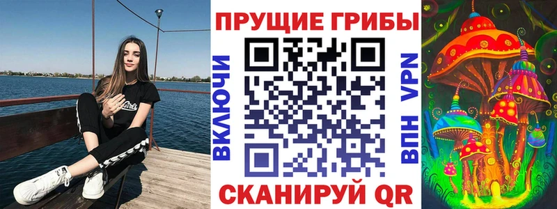 наркошоп  Новоалександровск  Галлюциногенные грибы Psilocybe 