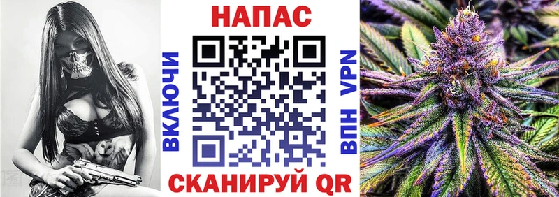 Бошки Шишки сатива  shop какой сайт  Новоалександровск 